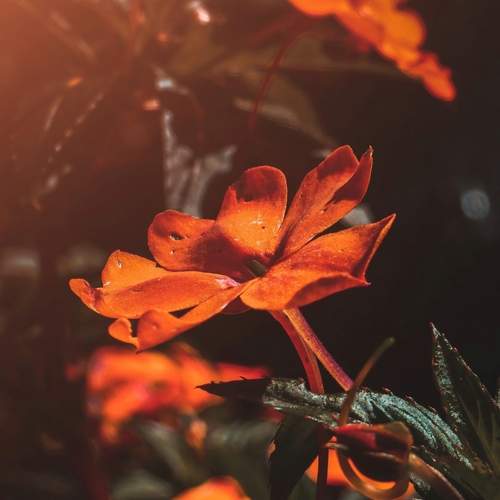 Photo #12030522