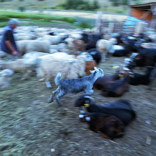 Photo #12030584