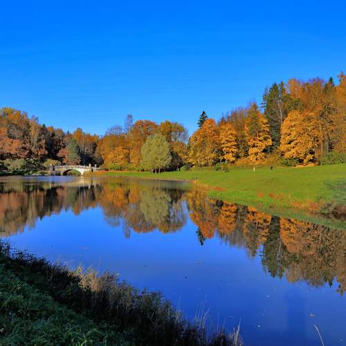 Photo #12030585