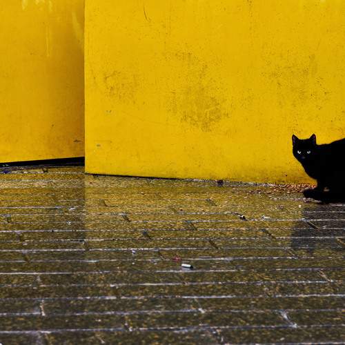 Photo #12030596