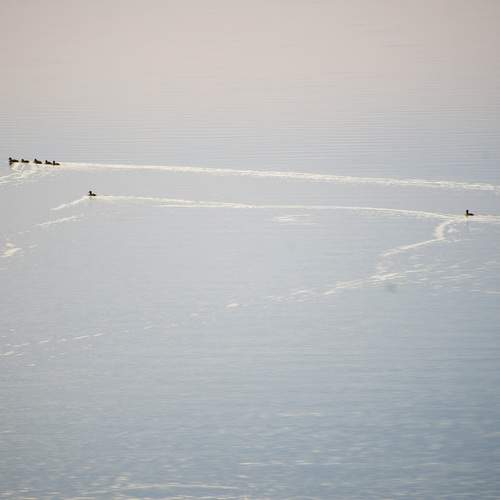 Photo #12030704