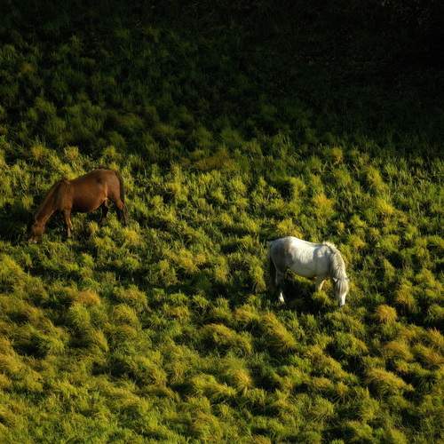 Photo #12030825