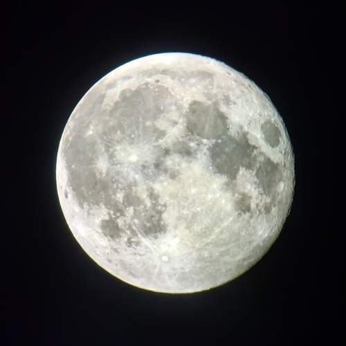 Photo #12030921