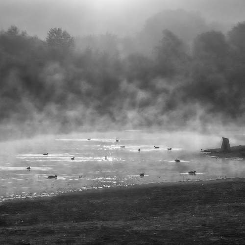 Photo #12030928