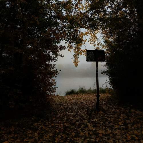 Foggy silence