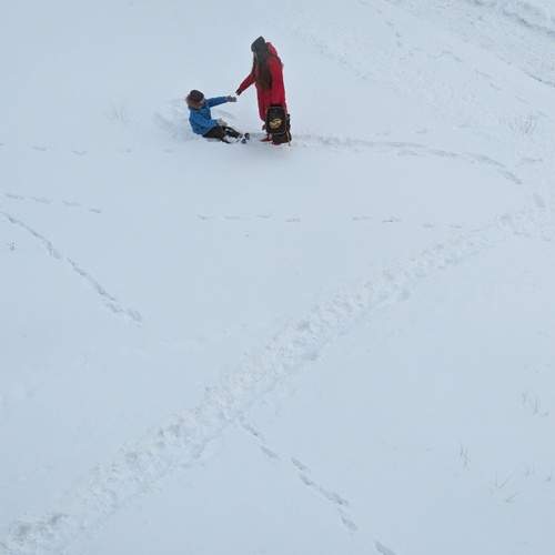 Photo #12030952