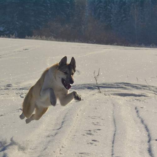 Photo #12030954