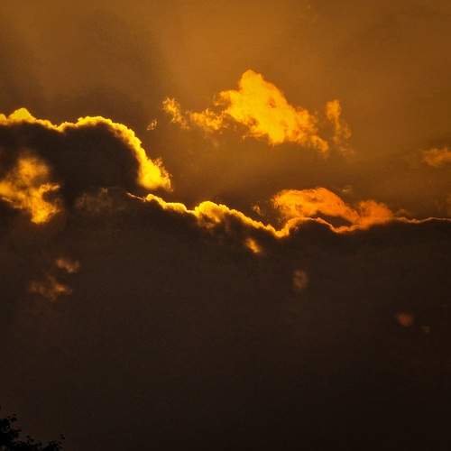 Photo #12031059