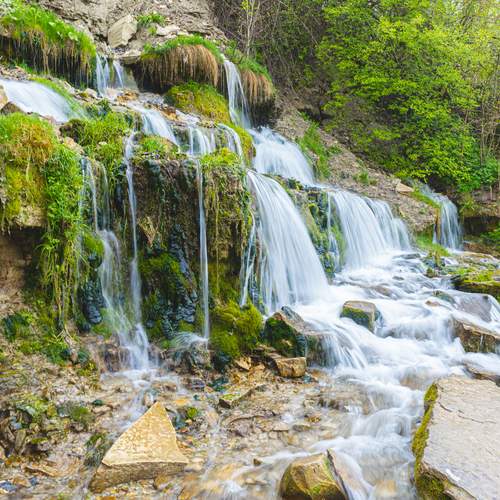 Photo #12031064