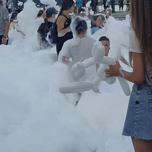 Photo #12031067