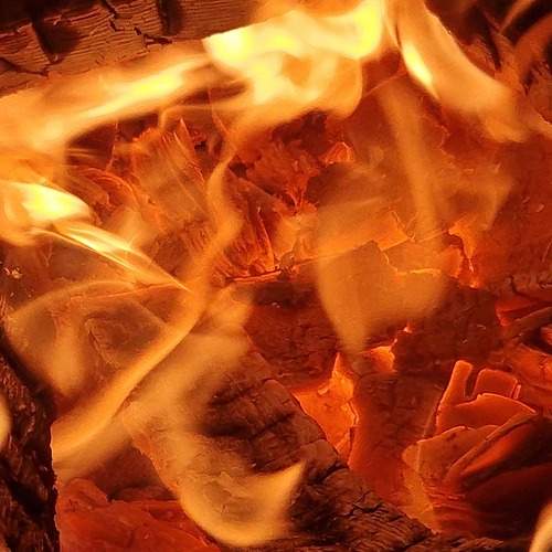 Photo #12031111