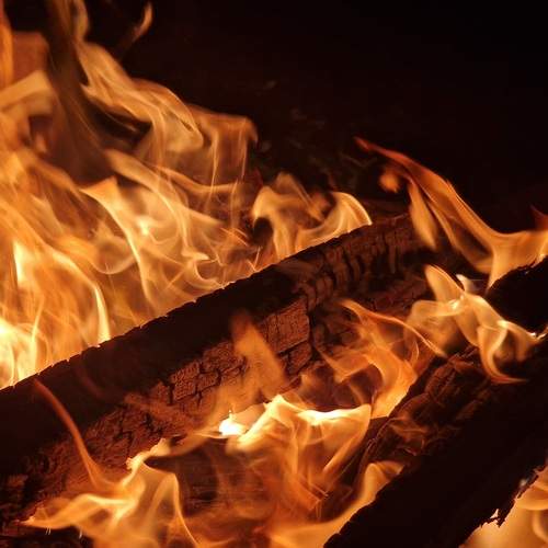 Photo #12031113