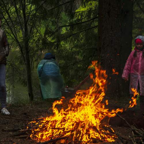 Photo #12031201
