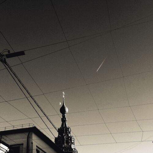 Photo #12031333