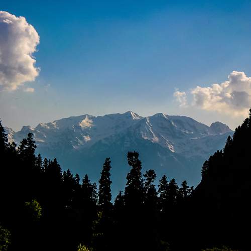 Photo #12031434