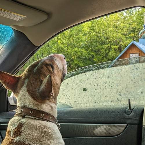 Photo #12031450