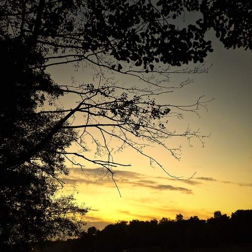 Photo #12031537