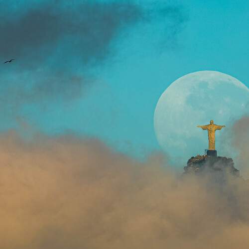 Photo #12031563