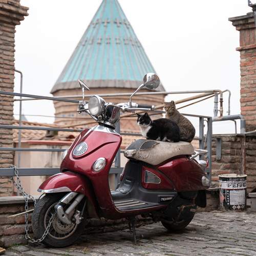 Photo #12031647