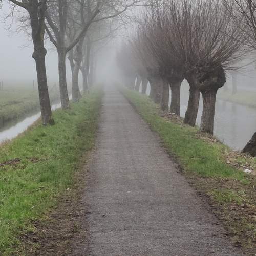 Photo #12031773