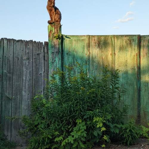 Photo #12031809