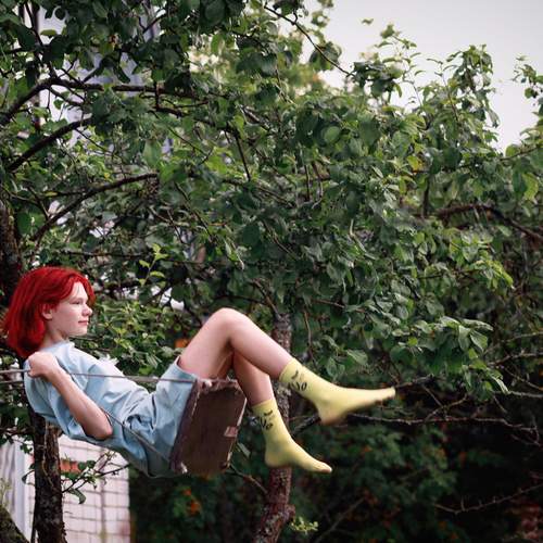 Photo #12031810