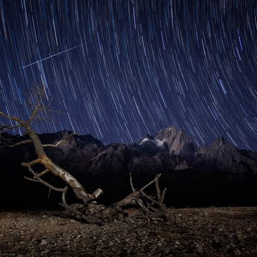 Photo #12031854