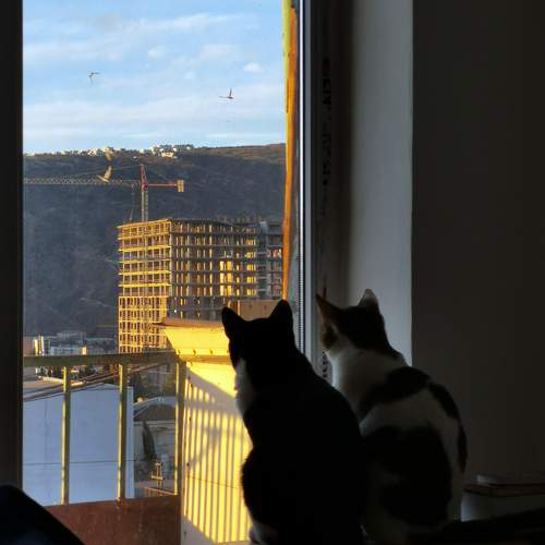 Photo #12031860