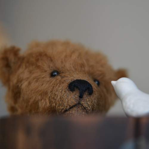 Photo #12031940