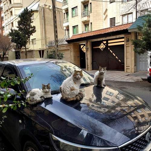 Photo #12031996