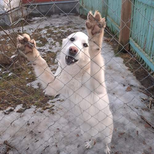 Photo #12032088
