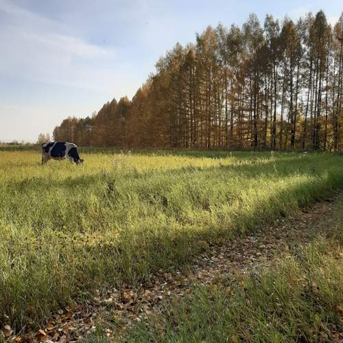 Photo #12032247