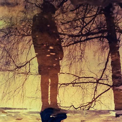 Photo #12032326