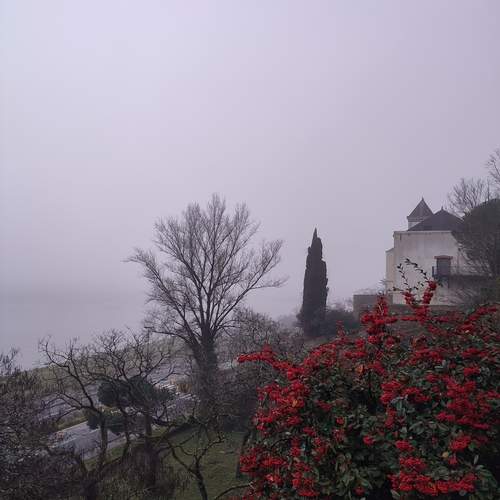 Photo #12032367