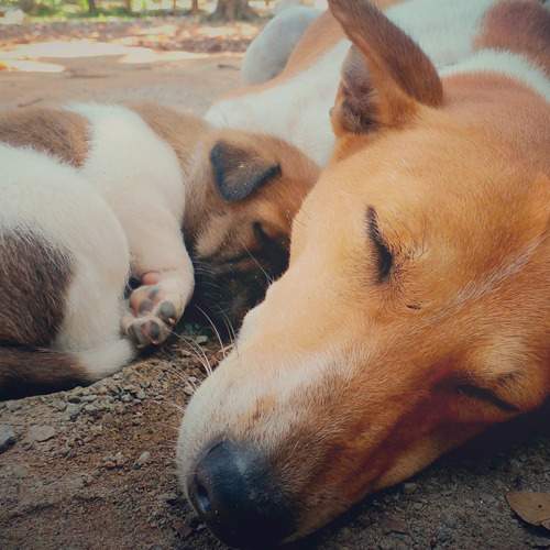 Photo #12032369