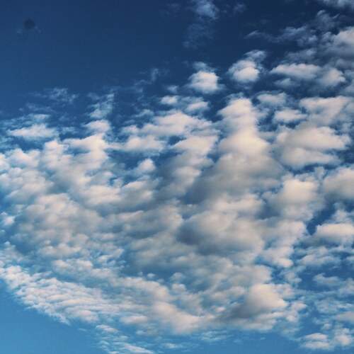 Photo #12032415