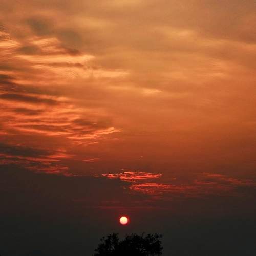 Photo #12032423
