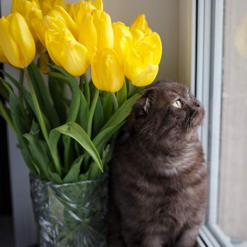 Photo #12032496