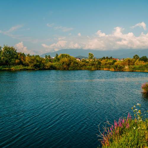 Photo #12032721