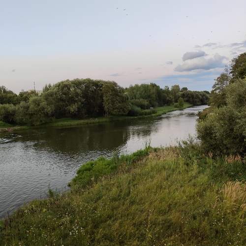 Photo #12032767