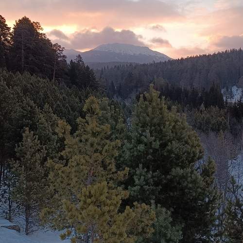 Photo #12032980