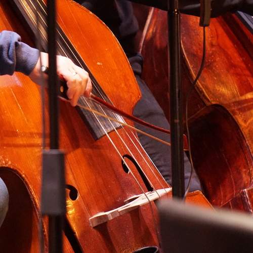Photo #12033074