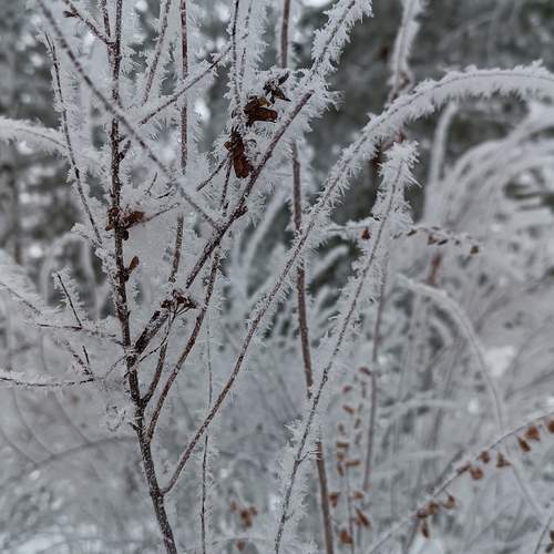Photo #12033108