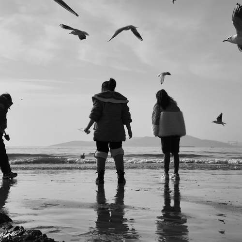 see the sea for the first time