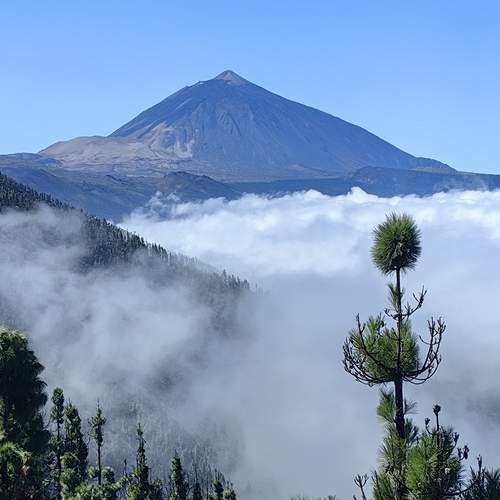 Photo #12033394