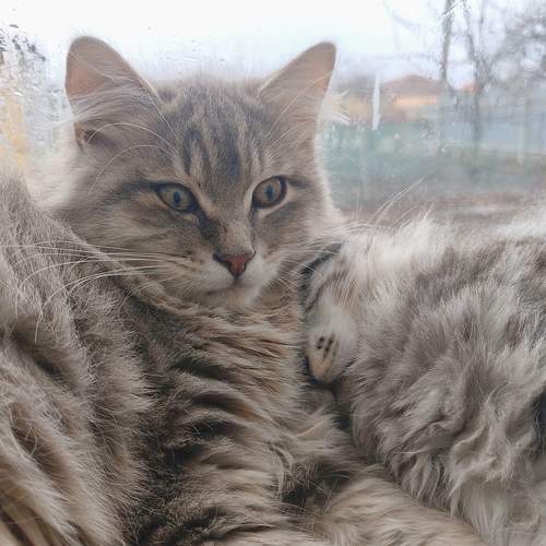 Photo #12033470