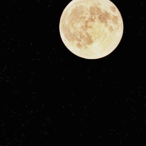 Photo #12033576