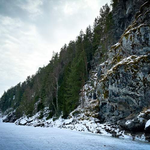 Photo #12033739