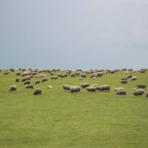 Photo #12033745