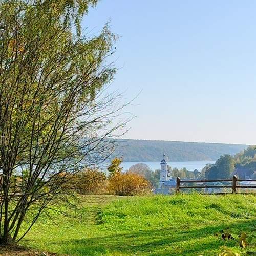 Photo #12033871